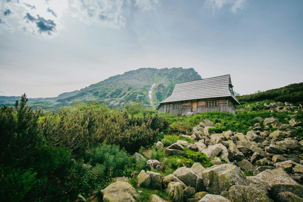 Navigating the Online Loan Landscape: Top Providers in Poland You Should Know - Como solicitar emprétimo online na Polonia